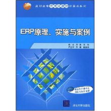 ERP系統原理、實施與網絡技術應用——以肖玉案例為視角